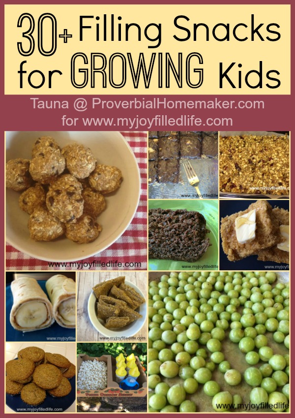 30 Filling Snacks For Growing Kids Proverbial Homemaker 30 Filling Snacks For Growing Kids Proverbial Homemaker