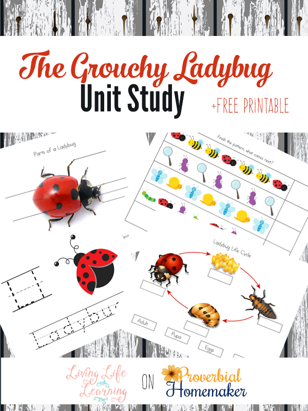 The Grouchy Ladybug Unit Study (+ FREE Printable!) Proverbial Homemaker
