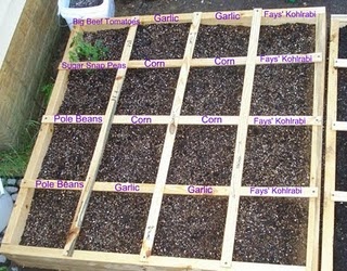 Build a Square Foot Garden This Year!