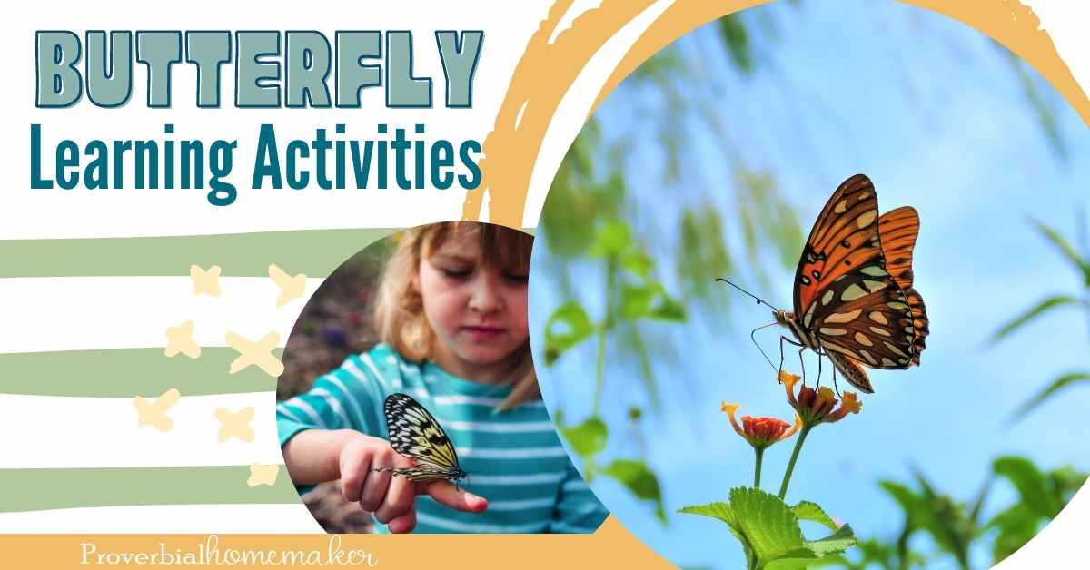 Butterfly Learning Activities & Lessons Proverbial Homemaker