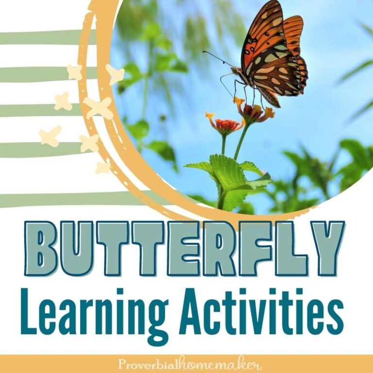 Fun butterfly learning activities and lessons for spring or summer! Includes a free butterfly printable pack and butterfly unit study ideas.