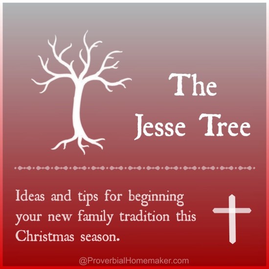 JesseTreeTips