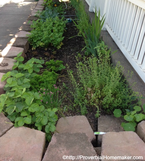 Front Yard Gardening