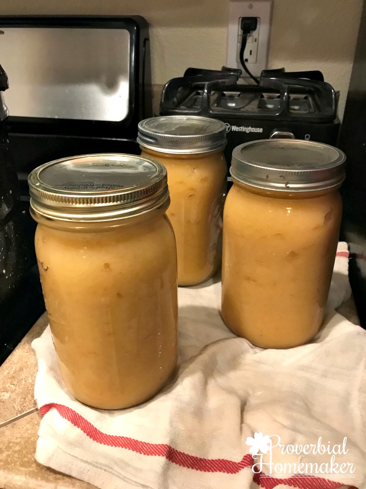 Canned applesauce - Have a bunch of apples? Find 7 ways to use up apples with tips and recipes, including my favorite apple pie filling recipe that can be used as ice cream topping or syrup, too!