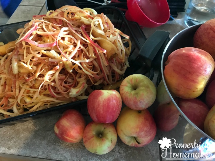Apple peelings for apple jelly - Have a bunch of apples? Find 7 ways to use up apples with tips and recipes, including my favorite apple pie filling recipe that can be used as ice cream topping or syrup, too!