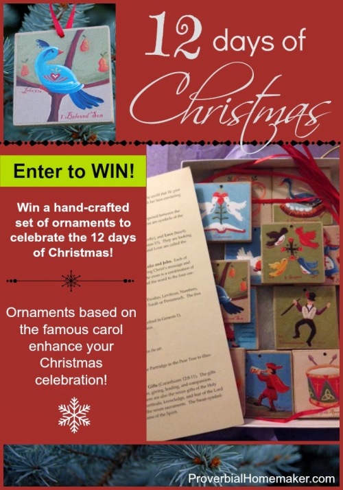 A new 12 Days of Christmas tradition for your family