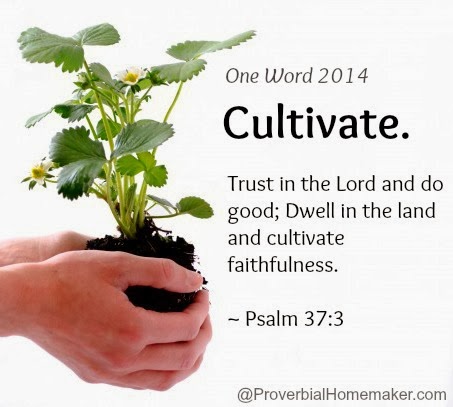 Cultivate – My Word for 2014