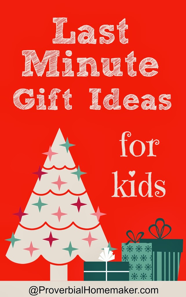 Need some last-minute gift ideas for Christmas? Check these out!