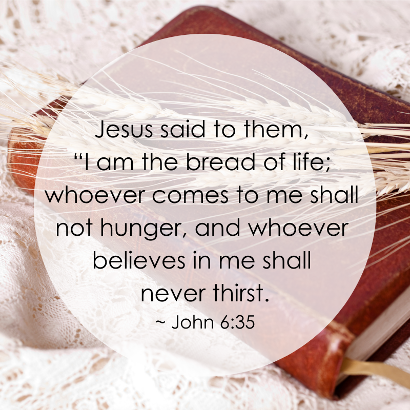 Jesus is the Bread of Life - learn about what that means and download a free Bread of Life Scripture printable with coloring pages, Scripture posters, and memory verse cards in ESV and KJV.