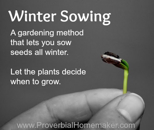 Winter Sowing - how to garden all year long