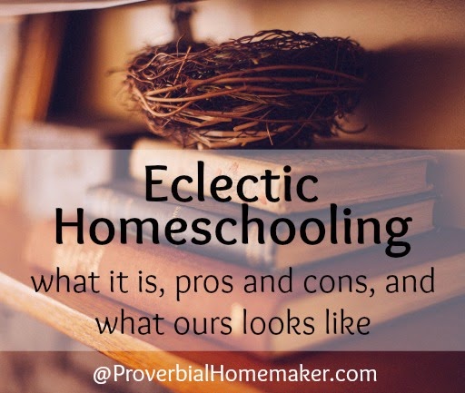 Eclectic Homeschooling: What it is, Pros and Cons, and What Ours Looks Like