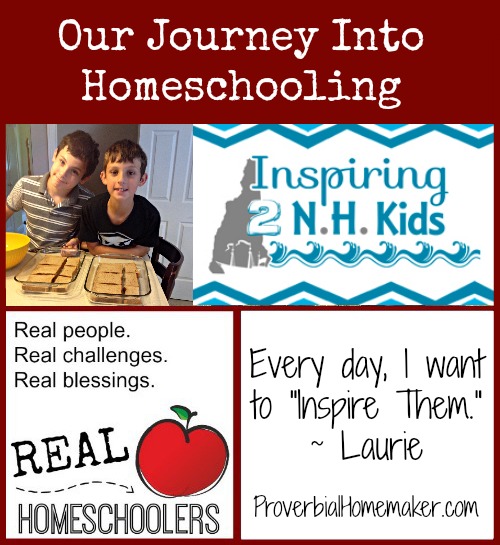 A family's journey into homeschooling when public school didn't pan out.