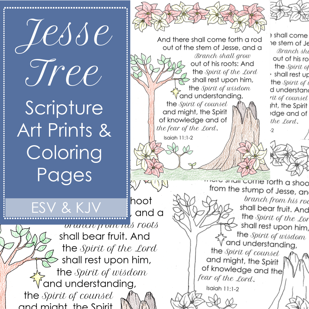 jesse tree coloring pages