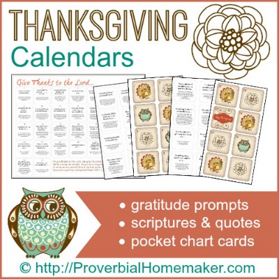 Thanksgiving Gratitude Calendars - gratitude prompts, scriptures and quotes, and pocket chart cards. ProverbialHomemaker.com