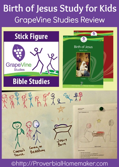 GrapeVine Studies Birth of Jesus Review