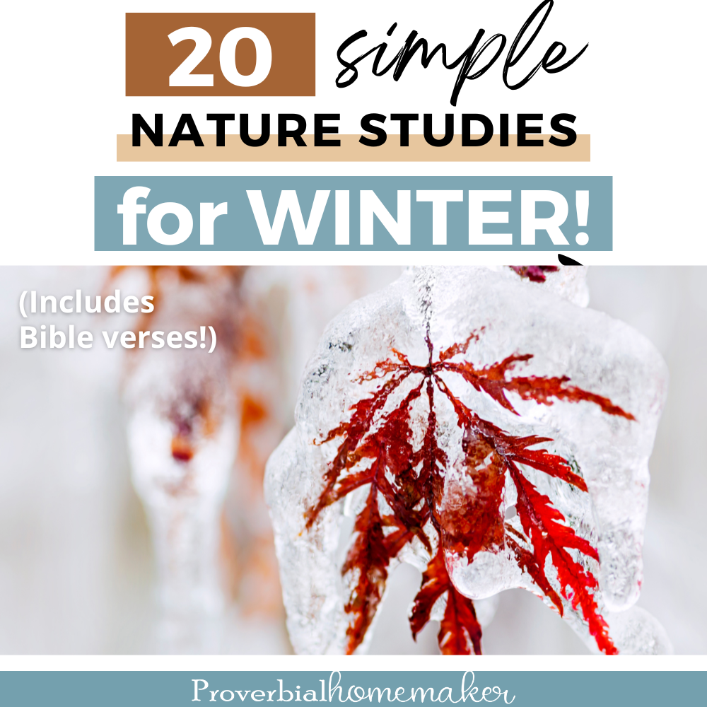 Enjoy the outdoors in your homeschool with these 20 winter nature study ideas! Include activities, book suggestions, and more.