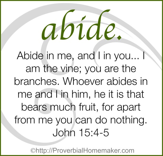 My one word for 2015 is abide