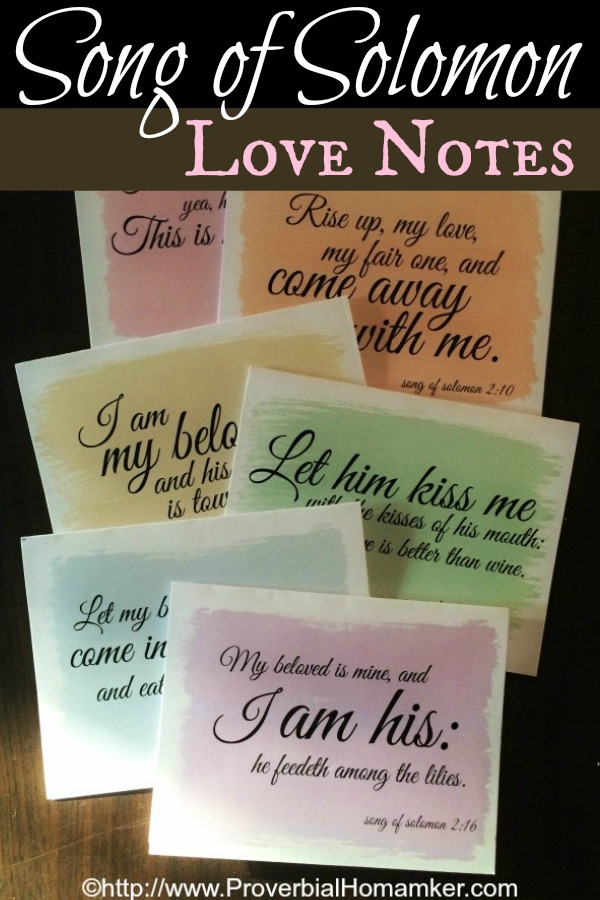 Song of Solomon Love Notes