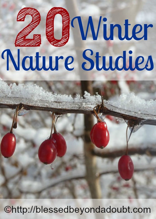 Roundup of great nature studies for the cold seasons