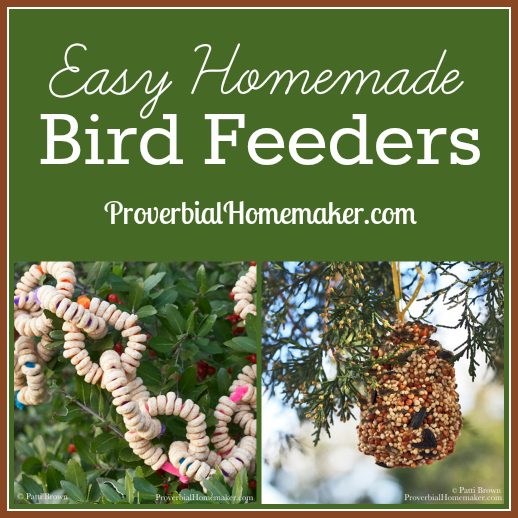 Fun and easy bird feeder activity