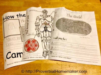 Bible based homeschool curriculum for history