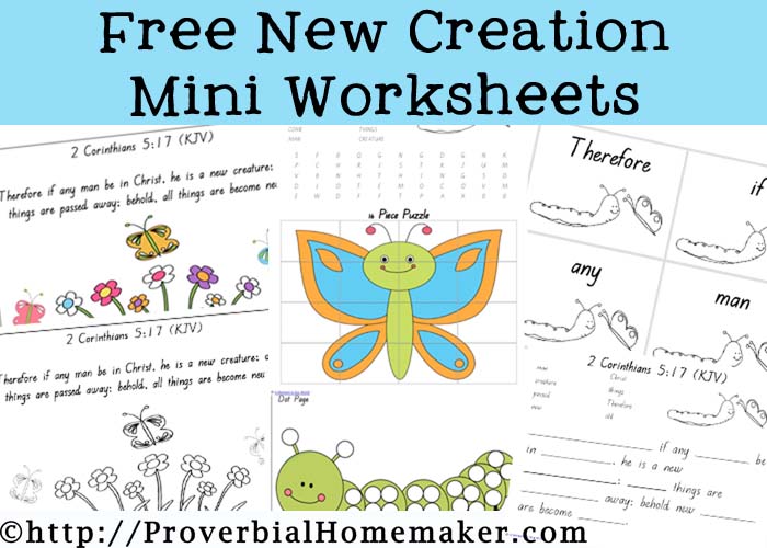 New Creation Worksheets
