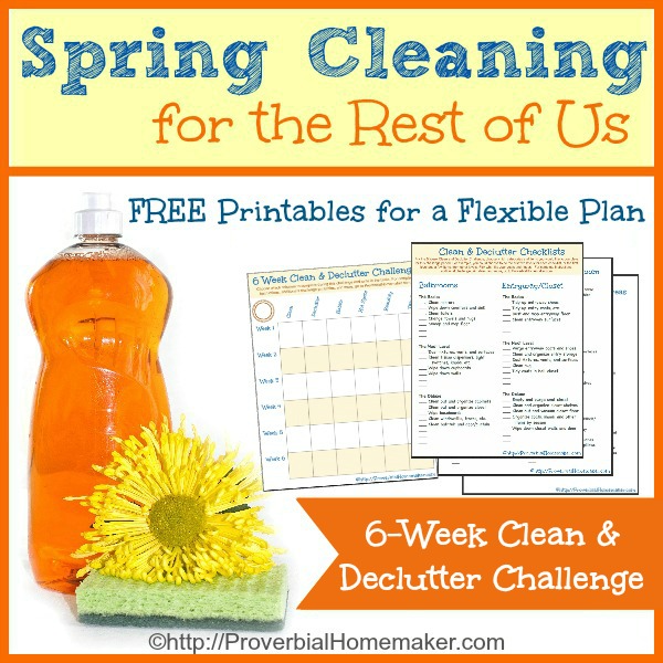 Download the flexible 6-week Spring Cleaning challenge!