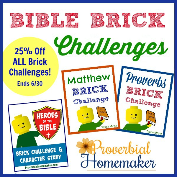Brick challenge prompts and extra activities to help make the holidays fun and memorable!