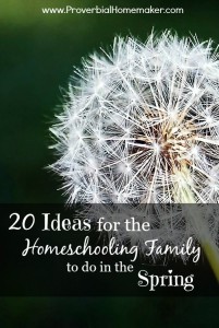 Spring ideas for homeschooling