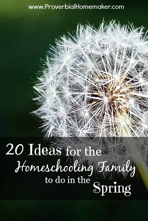 Ideas for homeschooling family to do in spring