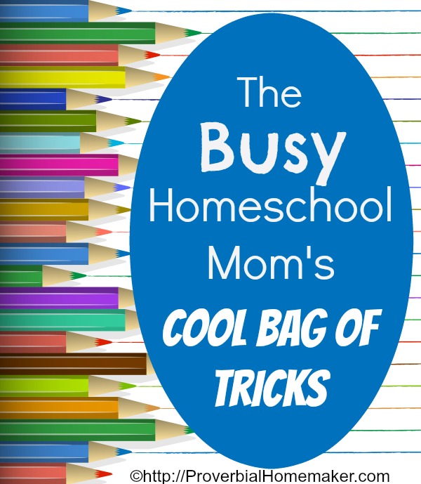 Busy Homeschool Mom's Cool Bag of Tricks