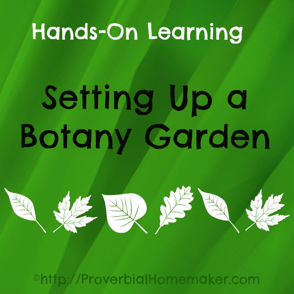 Hands-On Learning: Setting Up a Botany Garden