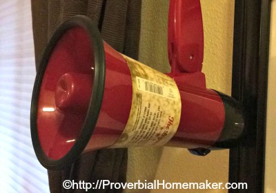 Busy Homeschool Mom's Cool Bag of Tricks - use a megaphone!