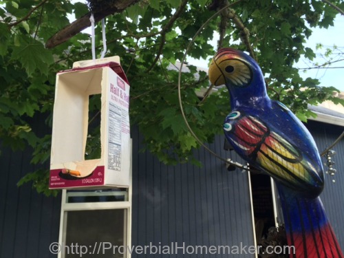 Milk carton bird feeder for preschoolers