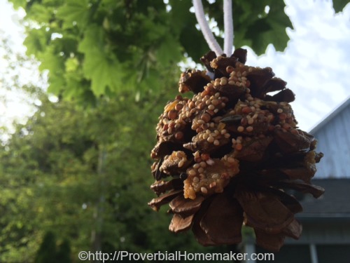 Pinecone bird feeder is a simple fun project for preschool through first grade