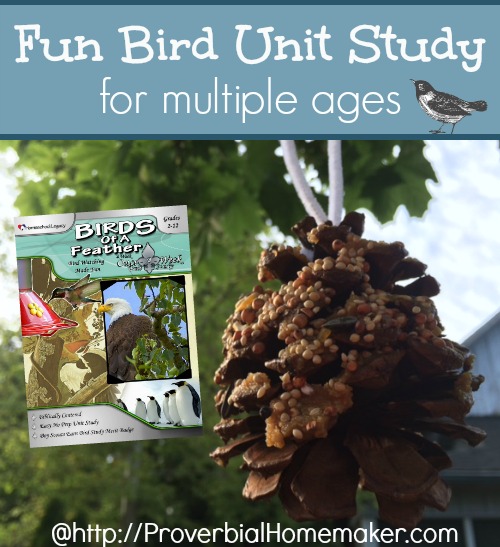 Fun Bird Unit Study for Multiple Ages