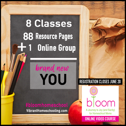 8 classes 88 pages of resources online community new mom