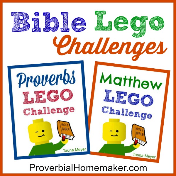 Children learn the Bible in a fresh and fun way by building through the stories!