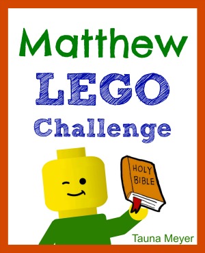 Matthew Lego Challenge Cover 300