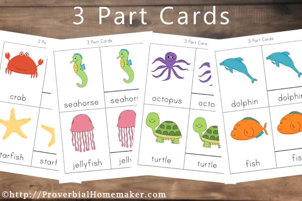 Ocean Animal Printables 3 Part Cards