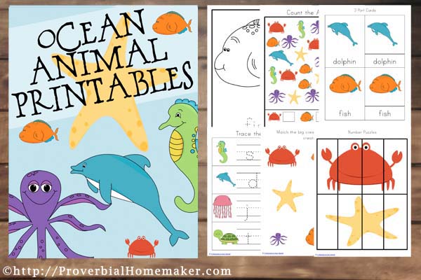 Fantastic ocean animals printable for the little learner in your home!