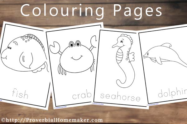 Ocean Animals Printables Colouring Pages