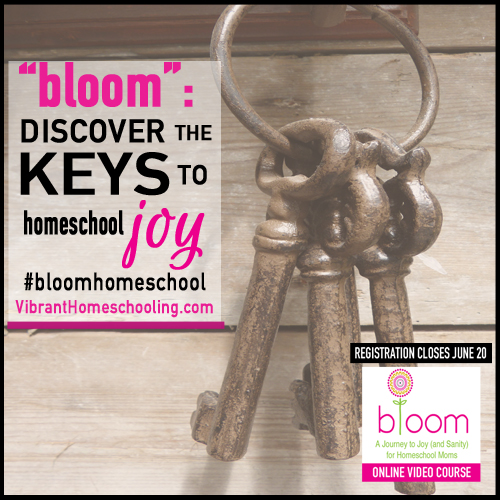 discover the keys to homeschool joy 500 x 500