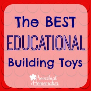The Best Educational Building Toys