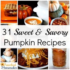31 delicious pumpkin recipes to satisfy both sweet and savory cravings!