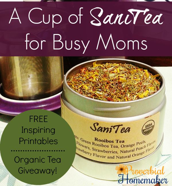 A Cup of SaniTea for Busy Moms Sanity for Busy Moms Proverbial Homemaker