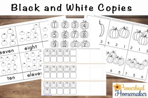 Counting Pumpkins From 1 to 12 - Pumpkin Printable Pack - Proverbial ...