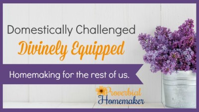 Homemaking accountability and support FB group for Christian women