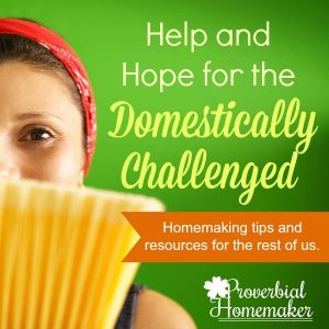 Help and Hope for the Domestically Challenged: Homemaking tips and resources for the rest of us.