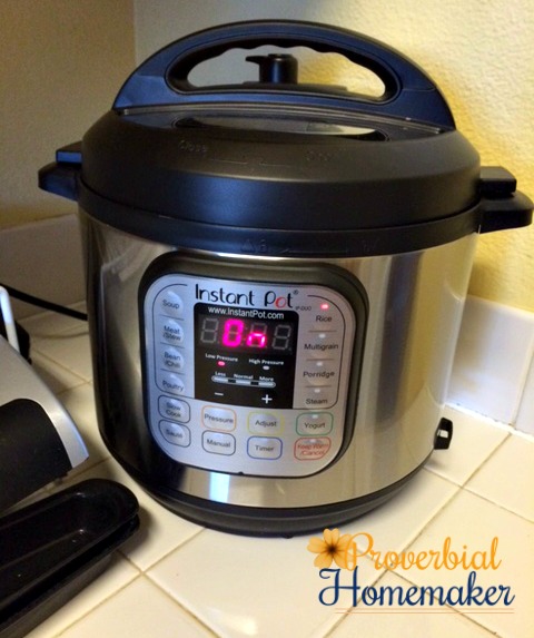 My Solution for Mealtime Madness Instant Pot Review and Menu Plan